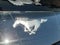 2025 Ford Mustang EcoBoost Premium Fastback