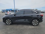 2023 Ford Escape Hybrid Platinum