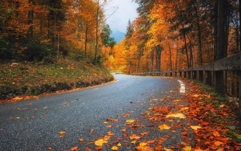 Happy Autumn at Blake Fulenwider GMC